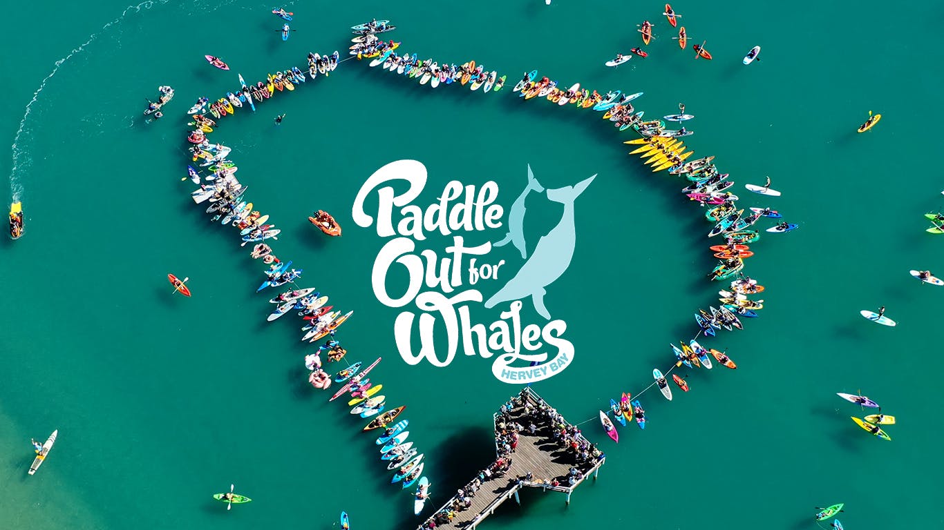 Hervey Bay Whale Festival, concerts, seafood festivals and of course the amazing humpback whales