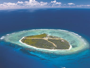 Lady Elliott Island located a short flight from Hervey Bay. Day trips and overnight stays available.