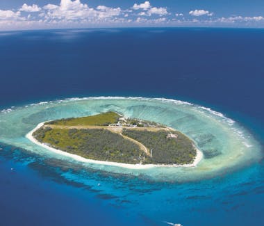 Lady Elliott Island located a short flight from Hervey Bay. Day trips and overnight stays available.