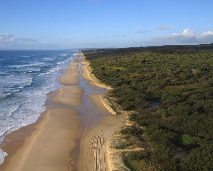 Fraser Island is a must see when in Hervey Bay