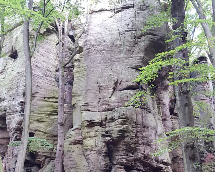 Hotel Le Bon Repos Activities Mullerthal