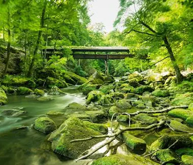 Hotel Le Bon Repos Acitivies Mullerthal