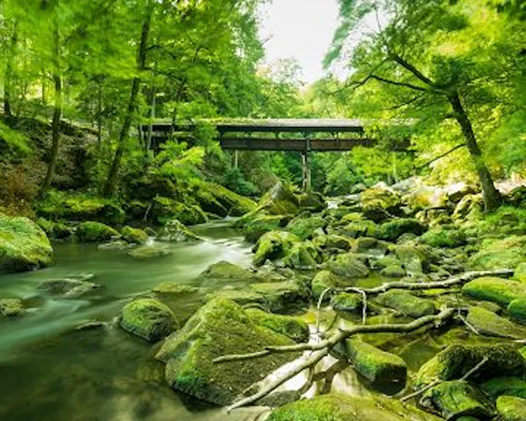 Hotel Le Bon Repos Acitivies Mullerthal