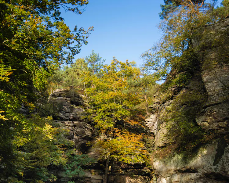 Hotel Le Bon Repos Acitivies Mullerthal