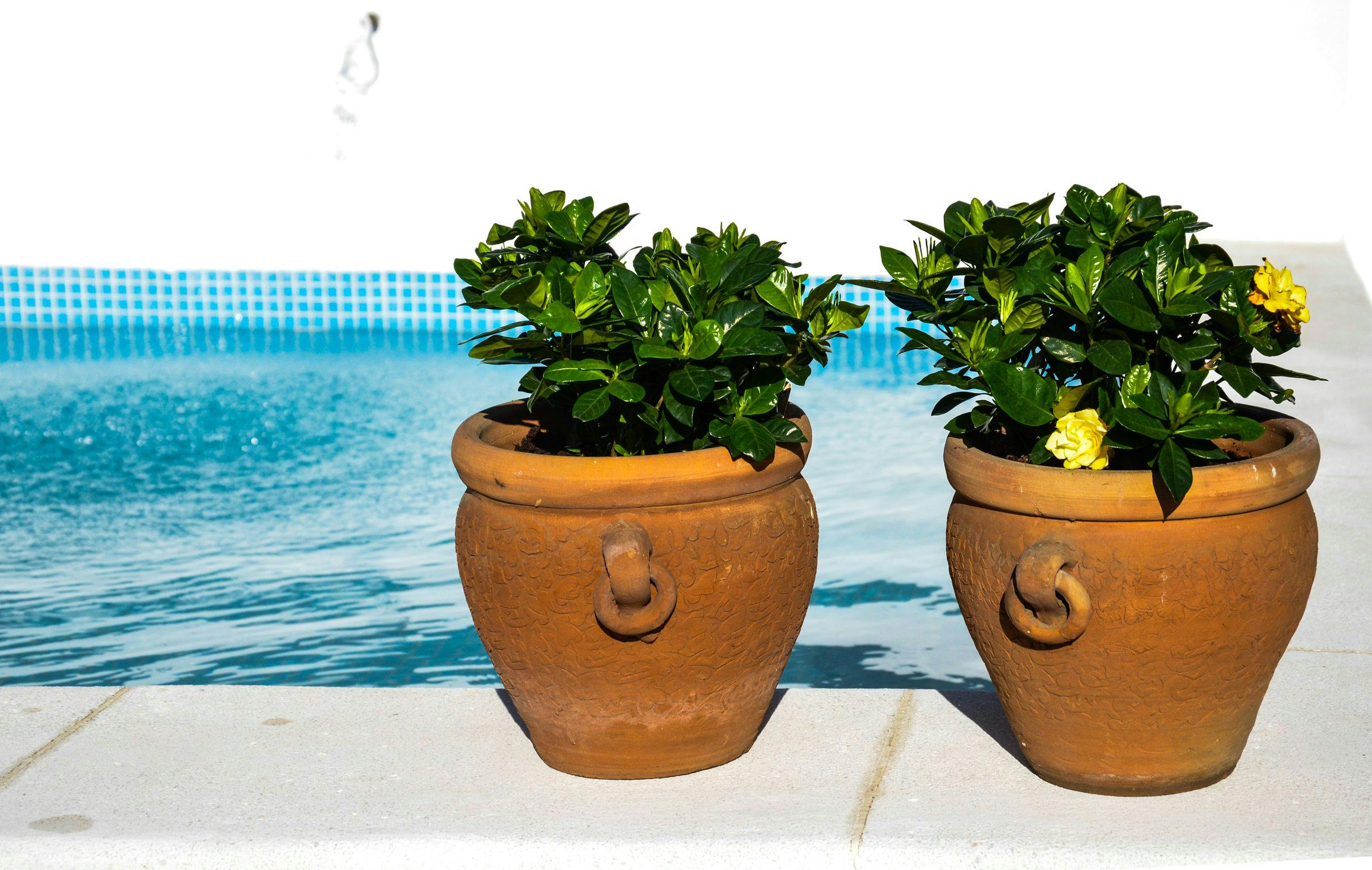 rooftop solarium and communal terrace (use allowed only for residents). Aguilas5 SevillaSuites