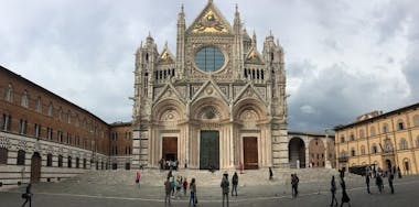 catthedral,Siena