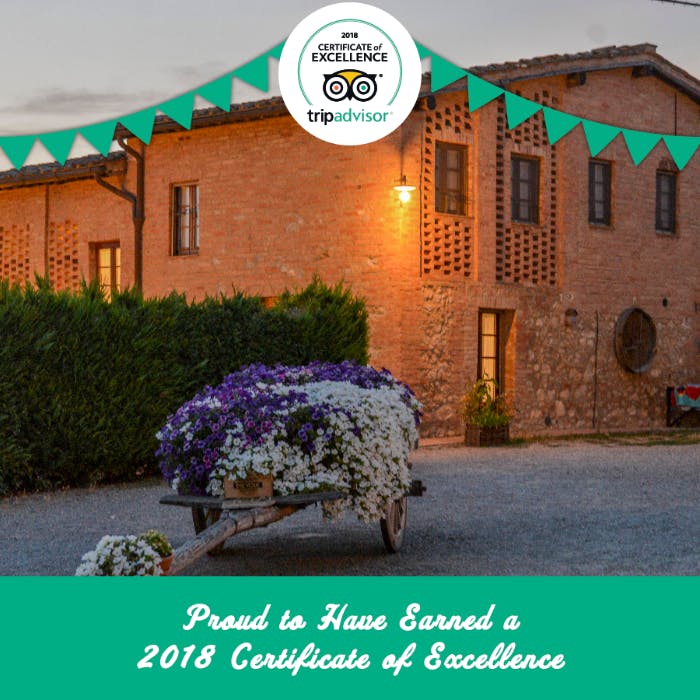 certificato world of fame trip