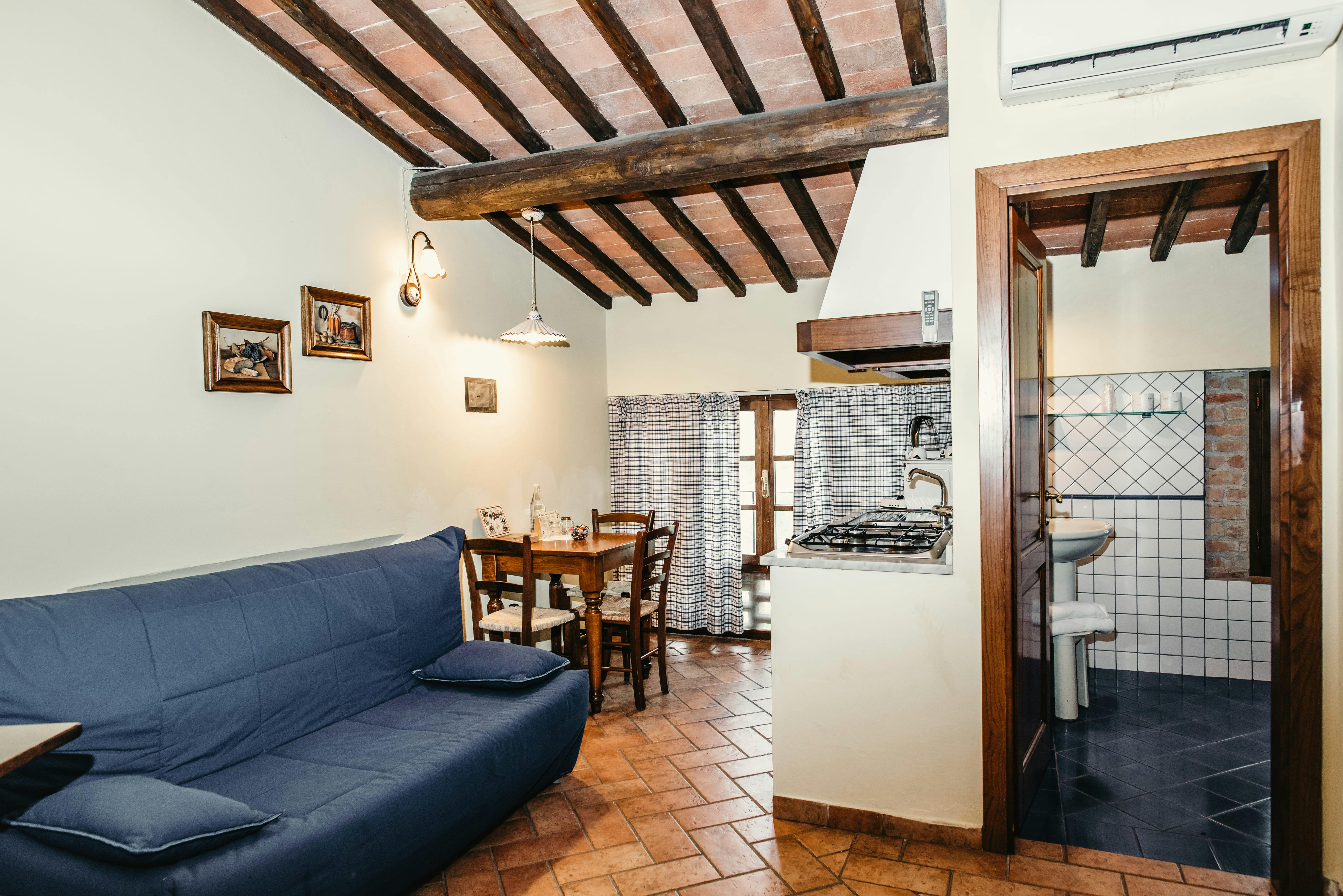 studio, kitchen, sofa