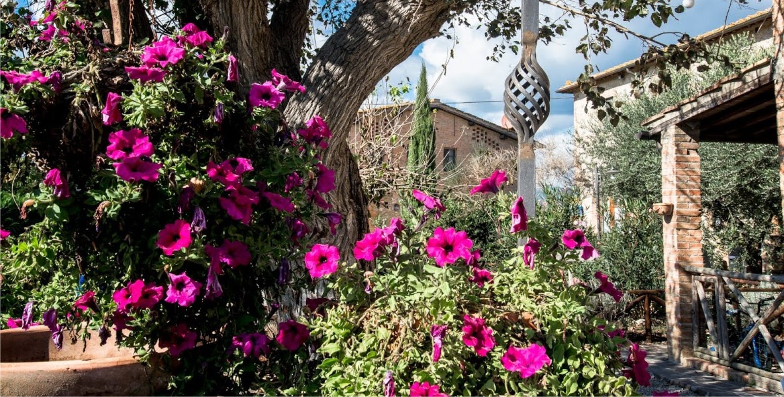 Tuscany details, dettagli toscani