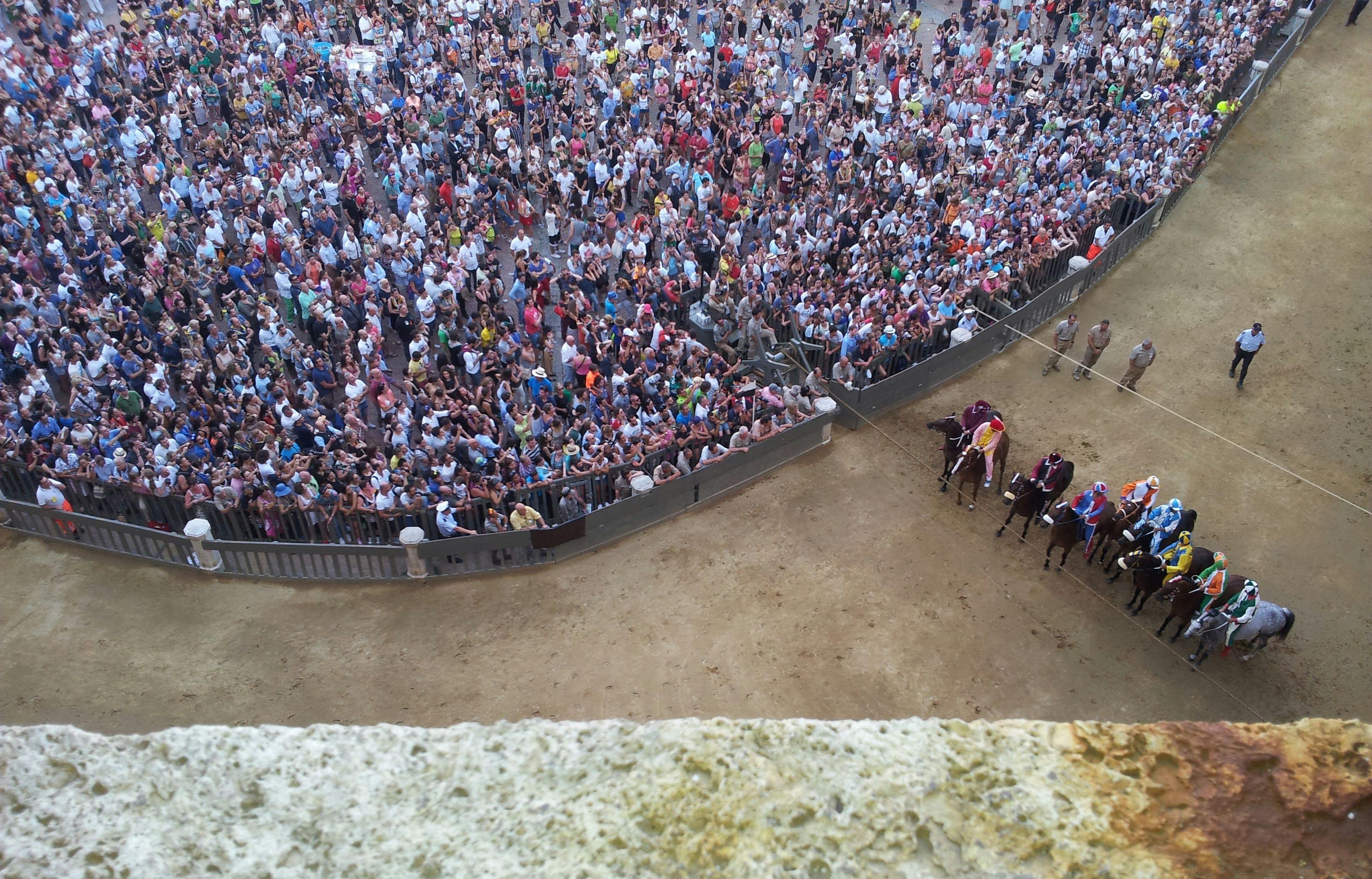 experiences, siena abroad