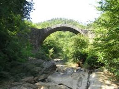 ponte della pia