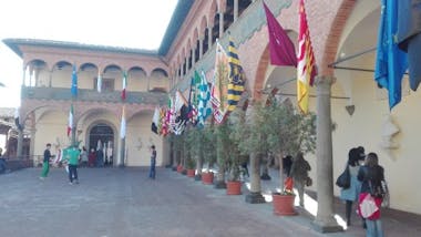 contradas of Siena palio,contrade del palio di siena