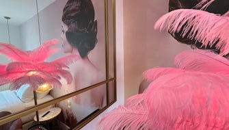 Chambre l'effeuilleuse