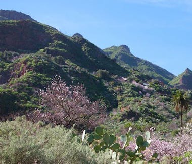 Hotel Gran Canaria