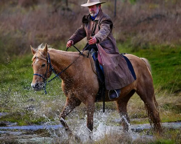 Horse trail rides with High Country Horses