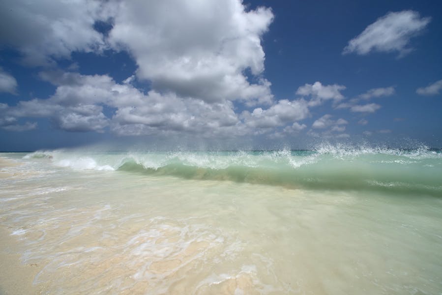 Oceania Aruba Rentals Oceania Residences