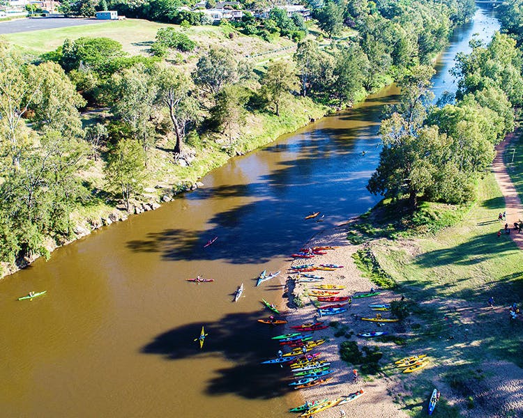 Explore the Macquarie River by kayak and savour the experience. Take in the many beautiful sights along the way.