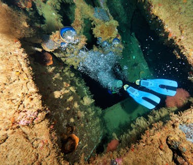 Diving the President Coolidge