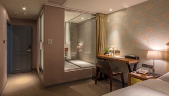 Standard Double Room (No Window)