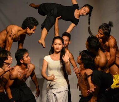 Phare, The Cambodian Circus