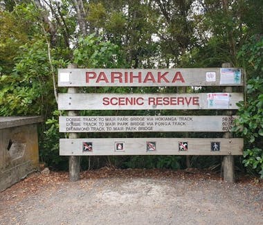 Scenic walk through Parihaka