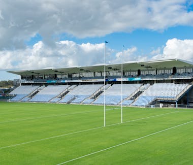Semenoff Field