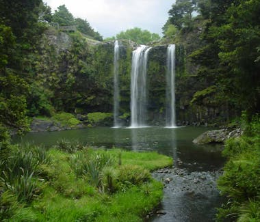 Whangarei Falls