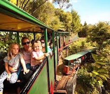 Driving Creek Railway train journey