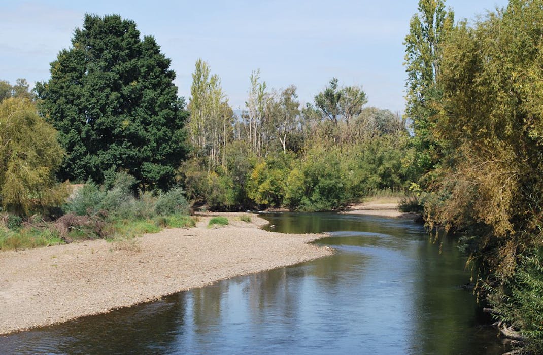 Tumut River is perfect for fly and trout fishing.