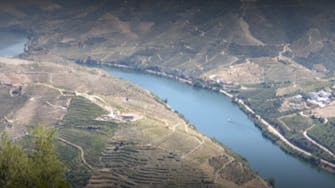 Douro Casa do Arco- Casa de Campo, Castro Daire, Portugal