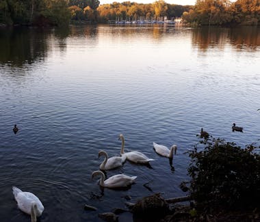 Unterbacher See