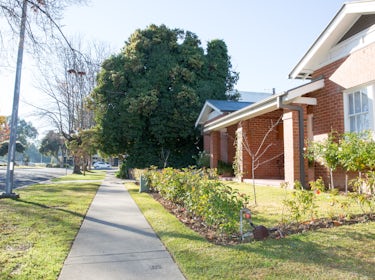 Front Garden View, onto Morrow Street. 1