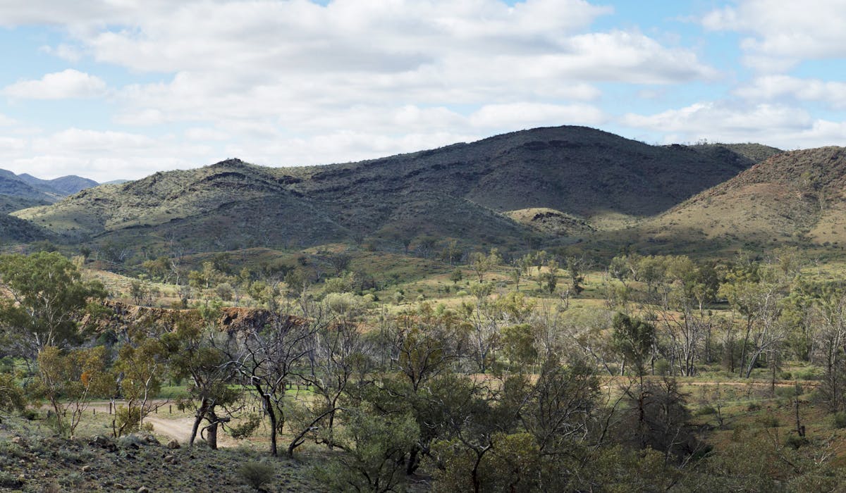 Aroona Dam Sanctuary, Leigh Creek Outback Resort, Flinders Ranges accommodation