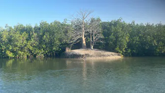 Lagune de la Somone