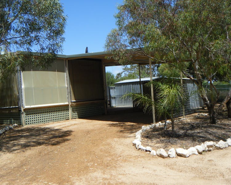 Side view