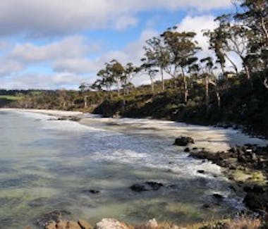 Roaring Beach