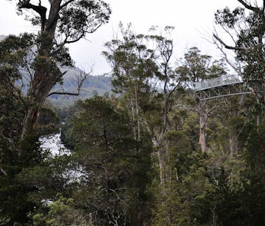 Tahune Airwalk