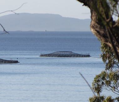 Salmon Farms