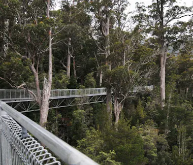 Tahune Airwalk