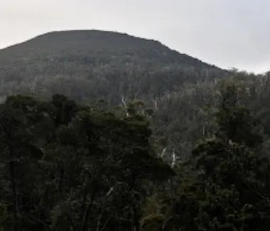Duck-Hole Lake Adamson's Peak view