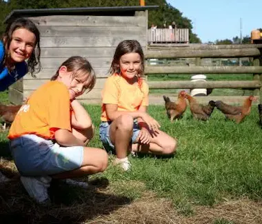 Bayeux Aventure - loisirs - mini-ferme - chèvres, moutons, cochons, lapins