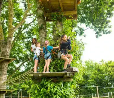 Bayeux Aventure - loisirs - accrobranche - tyrolienne - pont de singe - filets suspendus