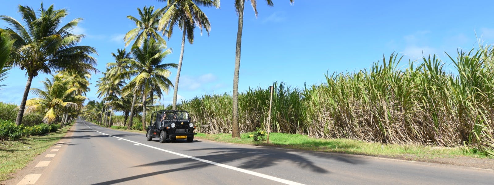 The most beautiful road