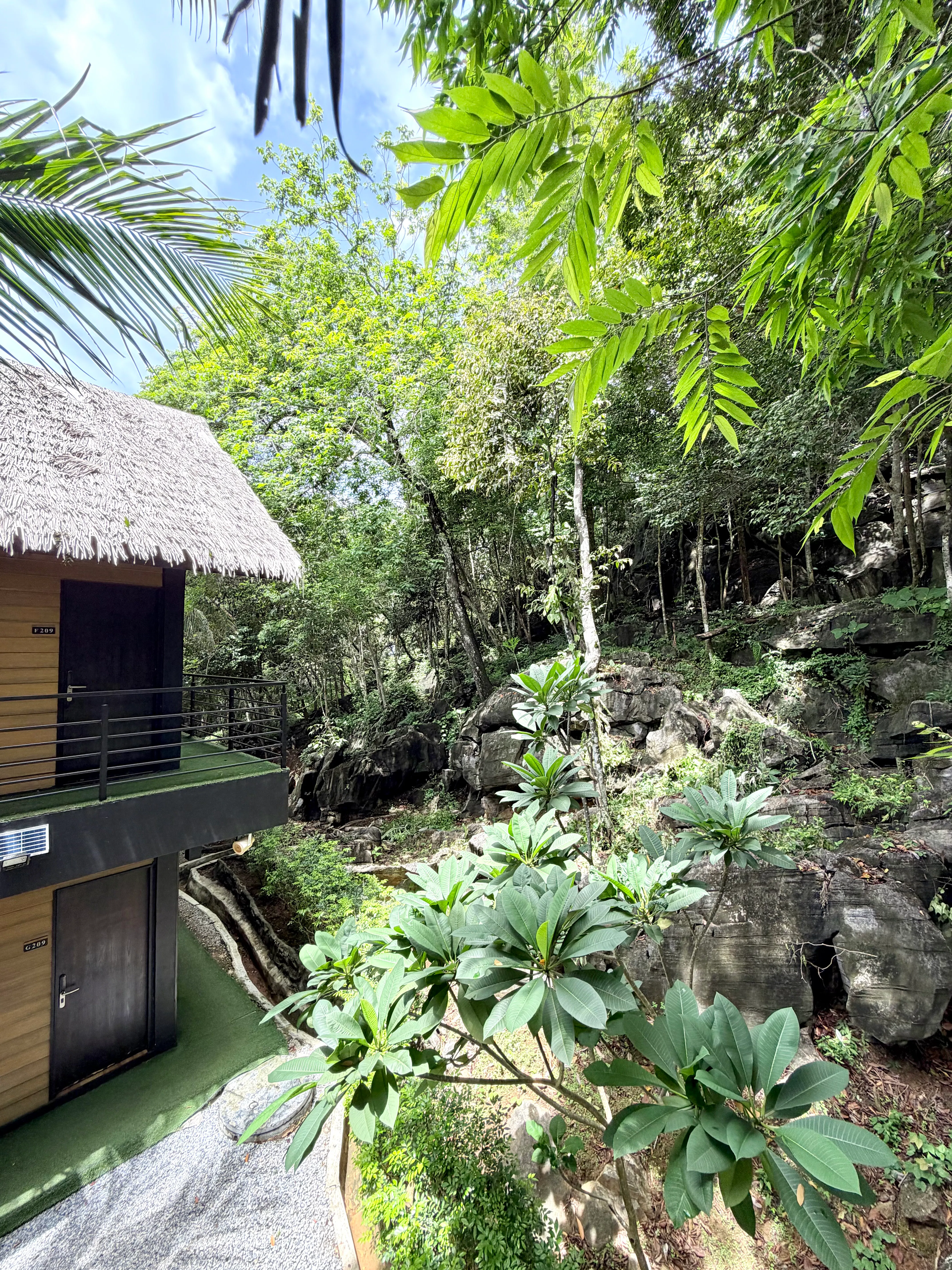 a_coral_reefs_resort_langkawi_nature_view
