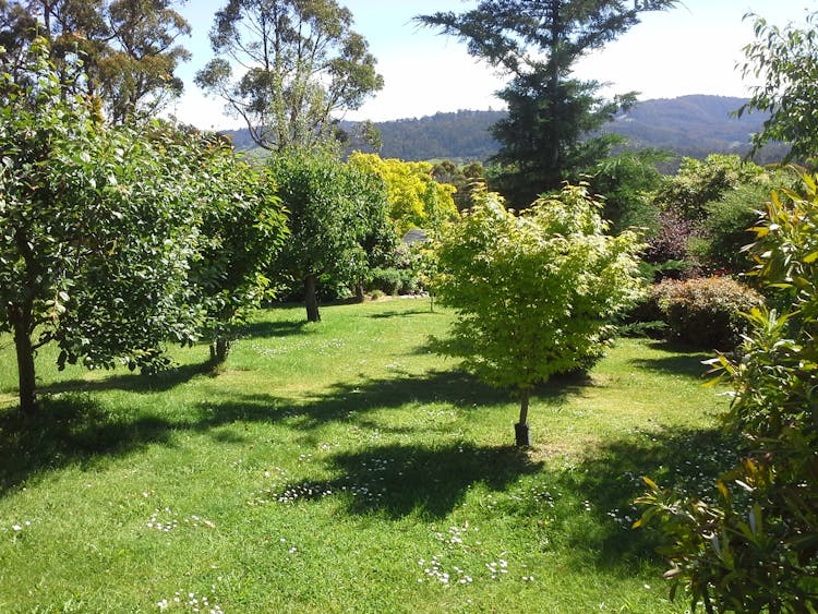 The park like gardens at Hillside Bed & Breakfast Huonville Tasmania hillsidebedandbreakfasthuonvalley.com