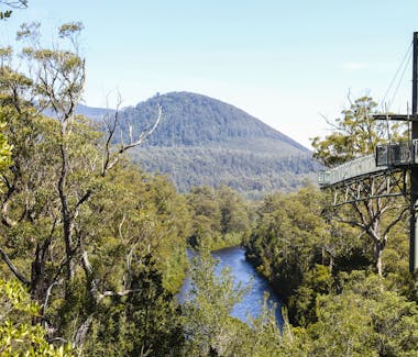Tahune Airwalk Huon Valley Tasmania 40 mins from Hillside Bed & Breakfast