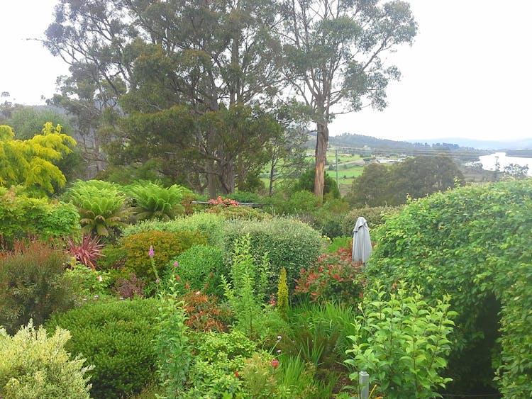 Garden Views and Huon Valley beyond at Hillside Be & Breakfast, Huonville Tasmania hillsidebedandbreakfasthuonvalley.com