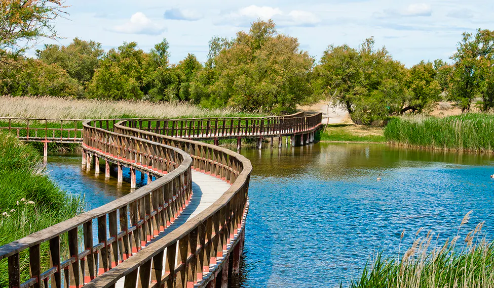 Pasarela de las Tablas.