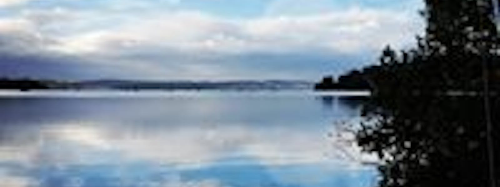 Oyster Cove