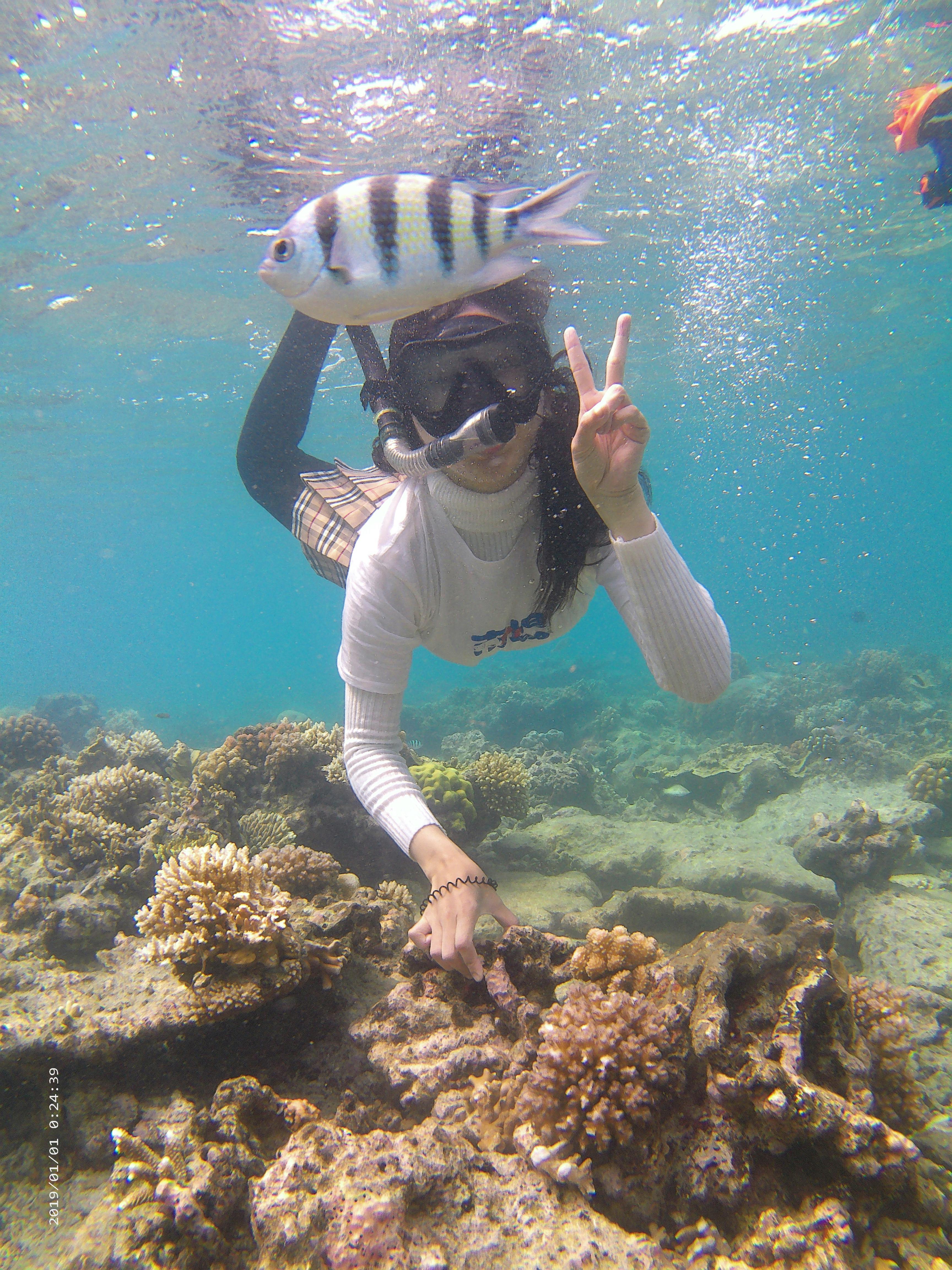 Snorkeling with coral and fish with Batumera near Pulau Payung Thousand Islands